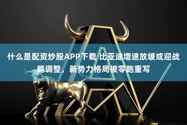 什么是配资炒股APP下载 比亚迪增速放缓或迎战略调整，新势力格局被零跑重写