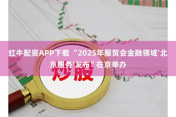 红牛配资APP下载 “2025年服贸会金融领域‘北京服务’发布”在京举办