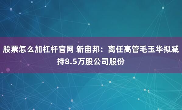 股票怎么加杠杆官网 新宙邦：离任高管毛玉华拟减持8.5万股公司股份