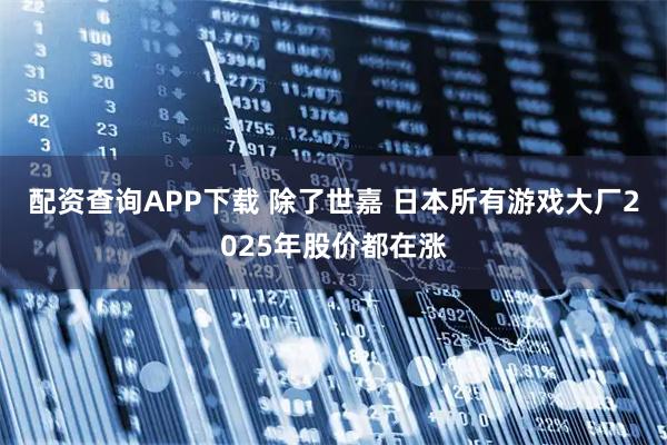 配资查询APP下载 除了世嘉 日本所有游戏大厂2025年股价都在涨