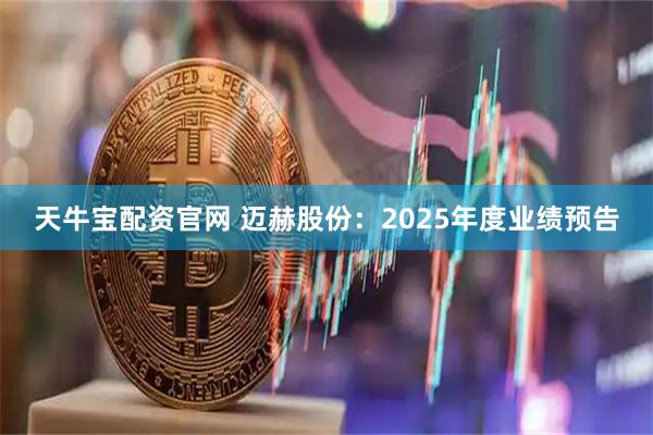 天牛宝配资官网 迈赫股份：2025年度业绩预告
