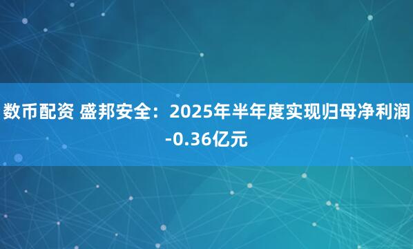 数币配资 盛邦安全：2025年半年度实现归母净利润-0.36亿元